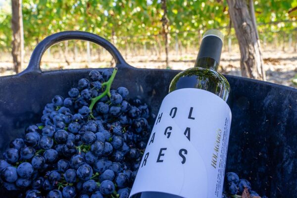 Comprar vino Holagares - Imagen 2