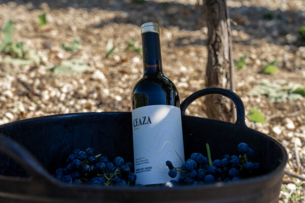Comprar vino Ceaza - Imagen 2